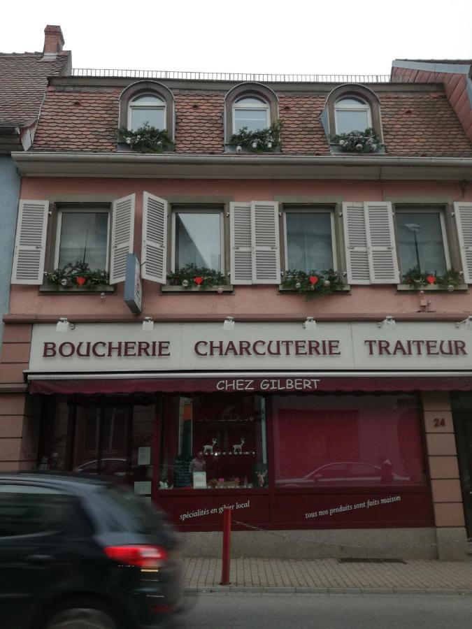 Spacieux Appartement Dans Le Centre De Munster Munster  Exteriör bild